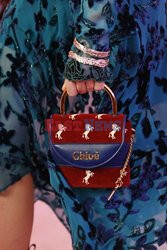 Chloe details details