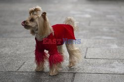 Andrew Gn Street Style