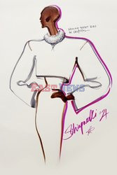 Schiaparelli