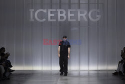 Iceberg