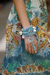 Anna Sui details