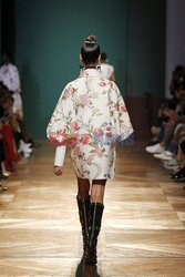 Andrew GN