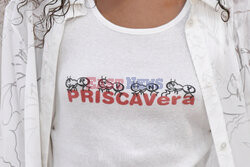 Priscavera detail