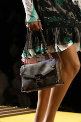 Miu Miu details detale